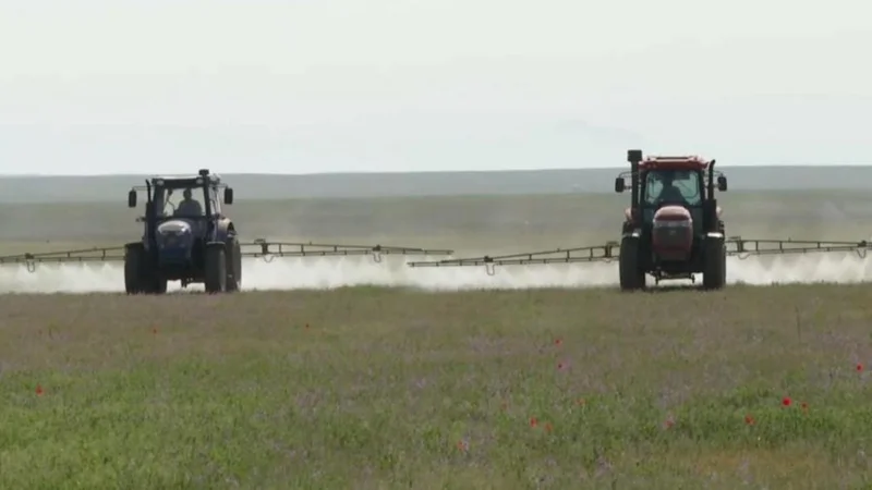 обработка от саранчи