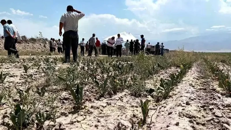 құрғақшылық