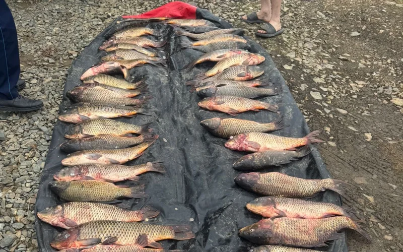 Браконьеров задержали в нацпарке «Бурабай»
