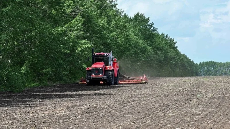 Kazakhstan ends spring sowing campaign on time