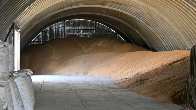 пшеница склад