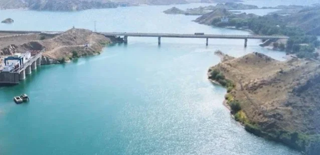 Zasýha v Týrkestanskoı oblastı: posevy vygorelı, tseny na korm dlıa skota ızmenılıs