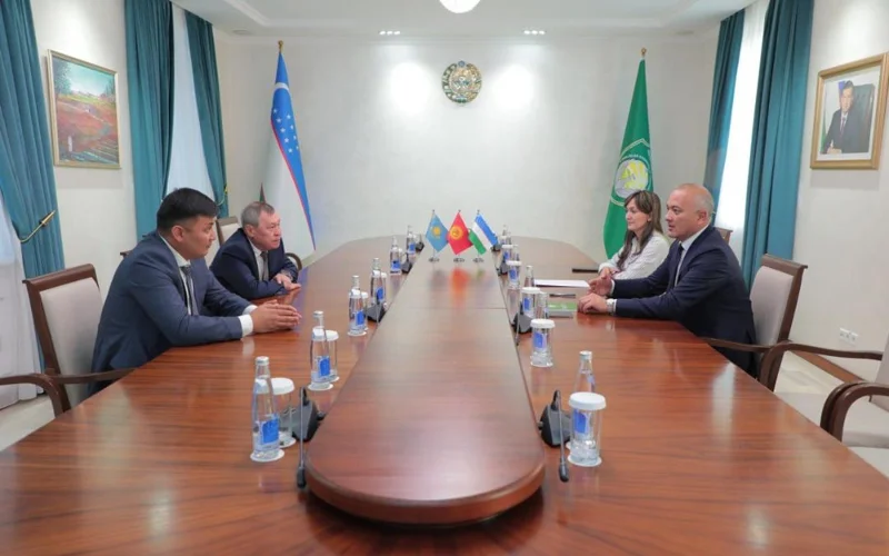 Казахстан, Узбекистана и Кыргызстан объединяют усилия в борьбе с саранчой