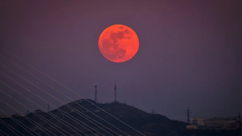 клубничная луна