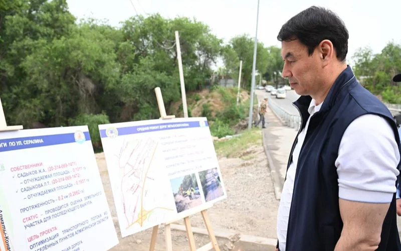 Мектеп те, емхана да жоқ: Алматы әкімі реновация бағдарламасын сынға алды 