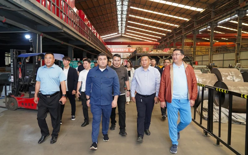 Делегация Туркестанской области посетила крупные предприятия в Китае 