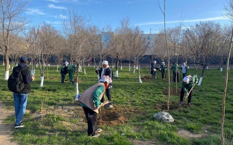 Mangistau region to plant over 31,000 trees in 2025 Mangistau region to plant over 31,000 trees in 2025