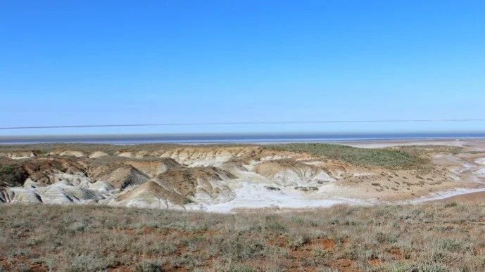 Herb of immortality of ancient Scythians: A new species of plant discovered in Atyrau region Herb of immortality of ancient Scythians: A new species of plant discovered in Atyrau region