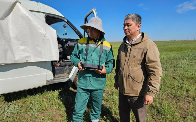 саранча, ЗКО