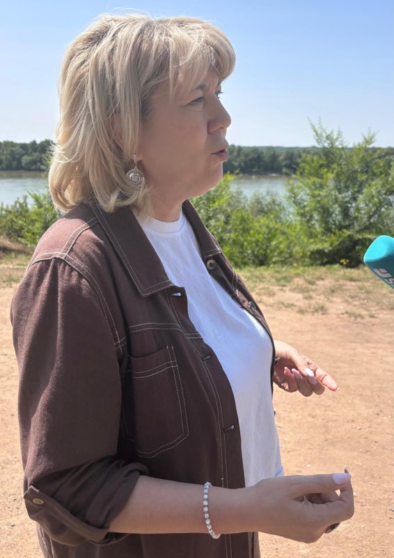 Valentına Alıasova professor