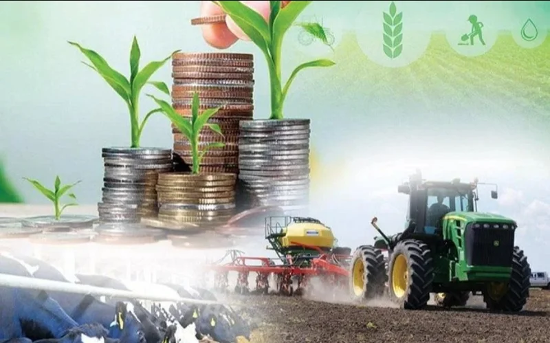 Қозоғистонда қишлоқ хўжалиги ялпи маҳсулоти 4 фоизга ошди