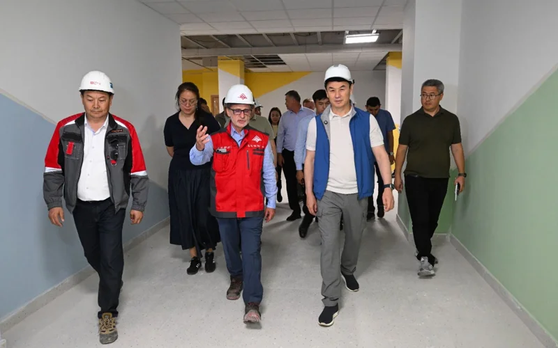 Базис, школы