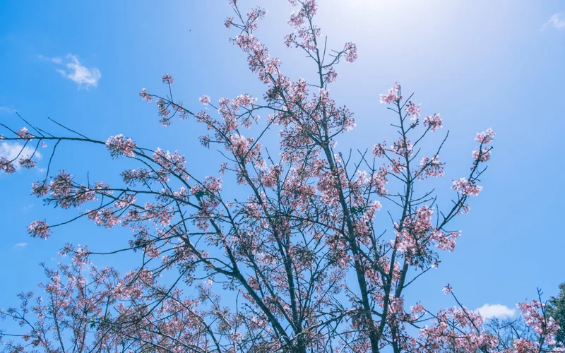 May ranks as second-warmest recorded