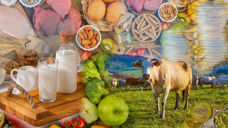 объем валовой продукции сельского хозяйства