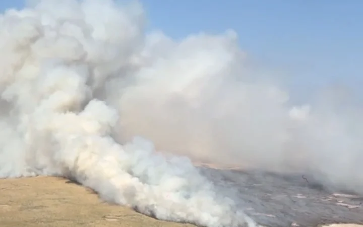 600 гектаров камыша загорелись в Атырауской области