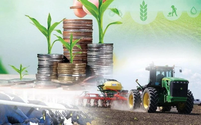 Ауыл шаруашылығының жалпы өнім көлемі 4%-ға артты 