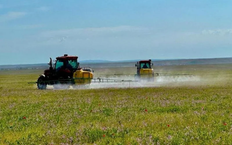 саранча, поле, обработка