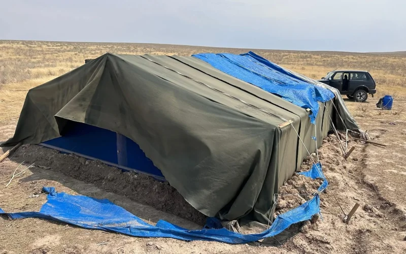 Түркістан облысында дәрілік өсімдік қазған шетелдіктер ұсталды