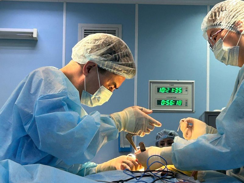 Цифрлық технология балалар мен жастардың денсаулығына кері әсер етіп жатыр - Нейрохирург Цифрлық технология балалар мен жастардың денсаулығына кері әсер етіп жатыр - Нейрохирург