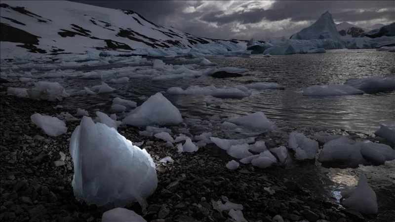 Гренландия мұздығы 2024 жылы мамырда 17 есе жылдам еріп кеткен