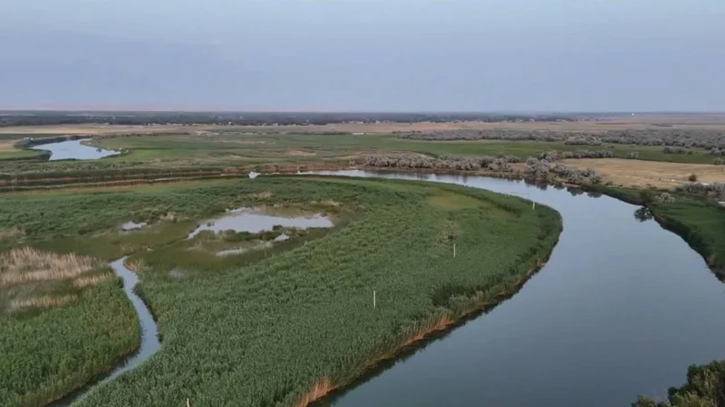 Более 1,5 млрд кубометров воды направили по реке Шу в Созакский район Туркестанской области