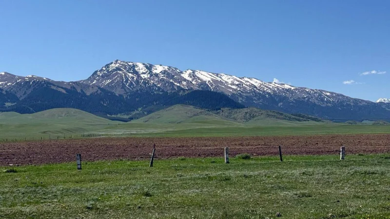 Almaty oblysynda tegin 10 sotyq jer ýchaskesi berilip jatyr ma