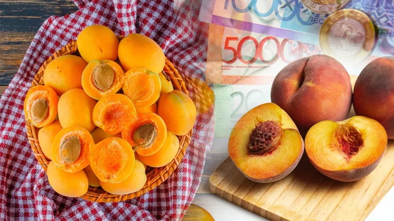 Қозоғистонда шафтоли ва ўрик қанча туради