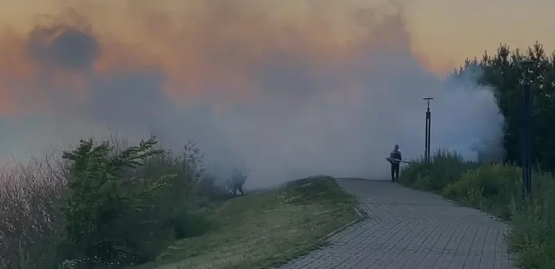 дезинсекция 