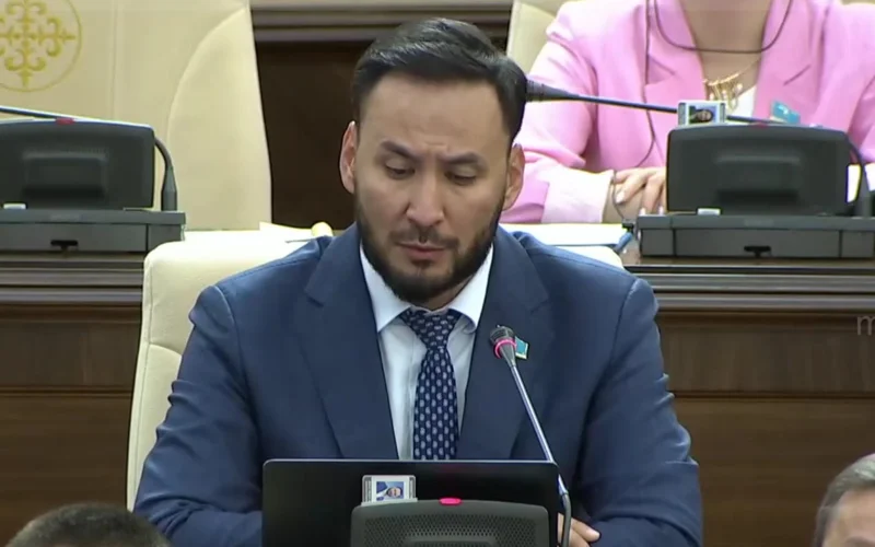 «Системные проблемы сохраняются»: депутат о слабости инвестклимата и провалах в расходовании бюджета