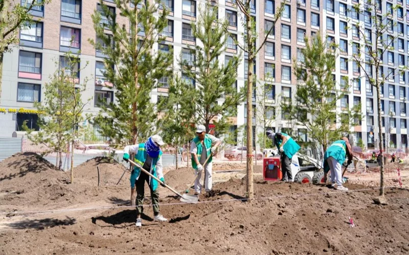 В каких районах Астаны благоустраивают городские зеленые зоны