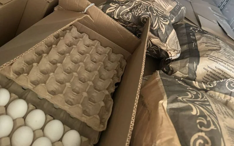 На границе предотвратили попытку незаконного ввоза яиц из России