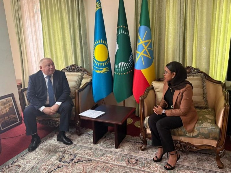 Ethiopia views Kazakhstan as a key partner in Central Asia Ethiopia views Kazakhstan as a key partner in Central Asia