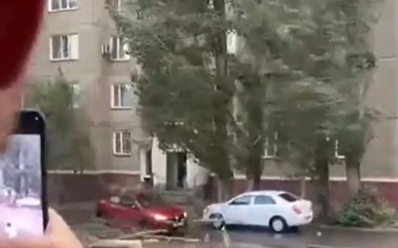 Женщину проткнуло насмерть упавшим деревом в Павлодарской области