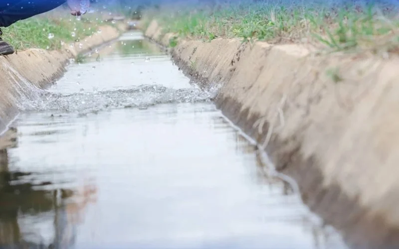 Water losses drop in S Kazakhstan