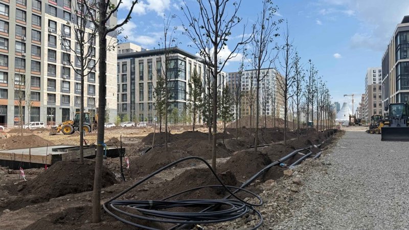 Глава государства ознакомился с благоустройством аллеи Мыңжылдық в Астане Глава государства ознакомился с благоустройством аллеи Мыңжылдық в Астане