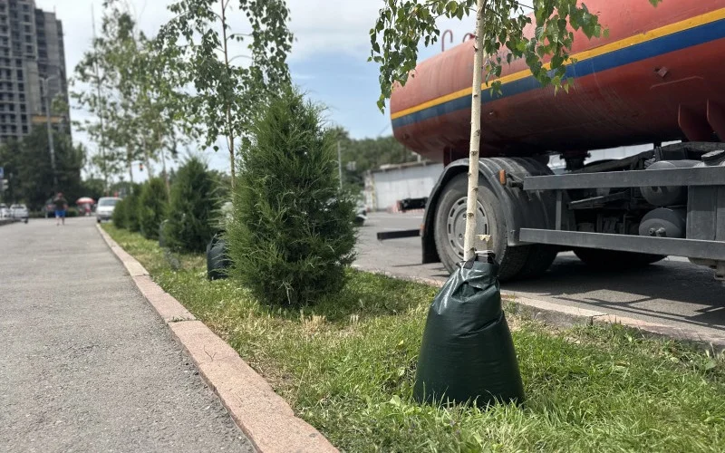 Инновационную технологию полива деревьев начали использовать в Кыргызстане