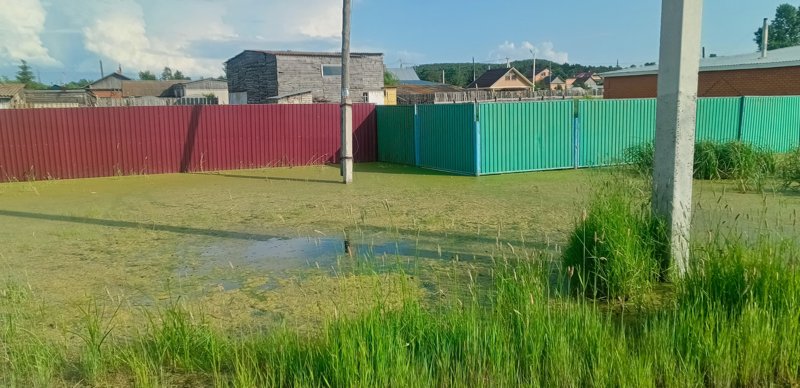 Зерендинское озеро превращается в болото в Акмолинской области Зерендинское озеро превращается в болото в Акмолинской области