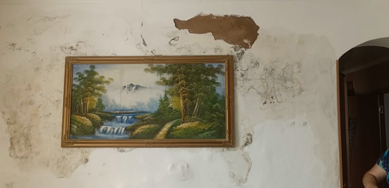 Зерендинское озеро превращается в болото в Акмолинской области Зерендинское озеро превращается в болото в Акмолинской области
