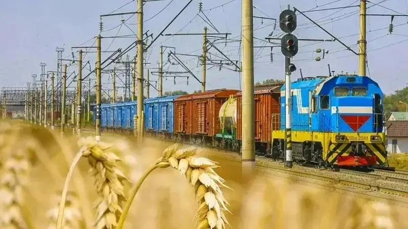 дон экспорти
