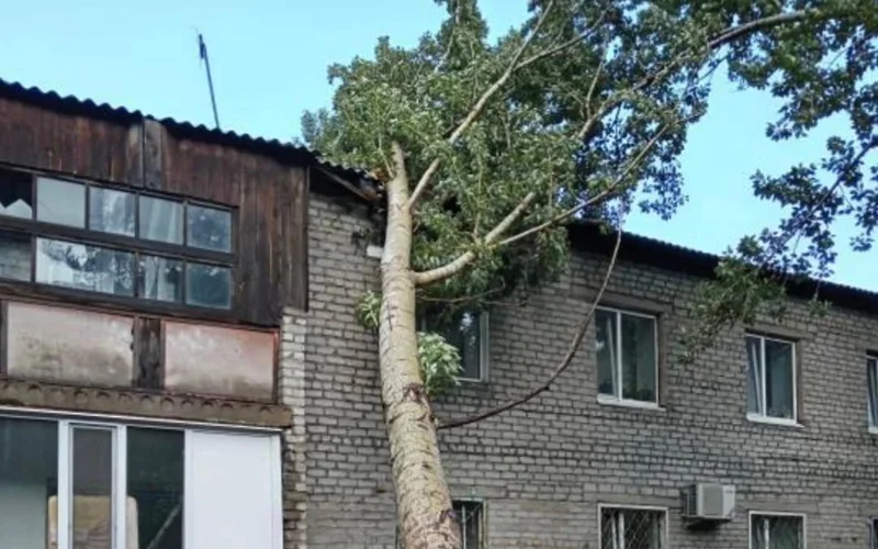 Sekýndyna 43 metr: Pavlodar oblysynda bir adam qaza taýyp, ondaǵan nysan zaqymdandy