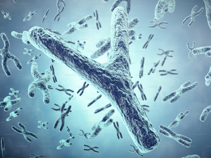 Zombie cells, stress, and the brain: The new science of growing old Telomeres