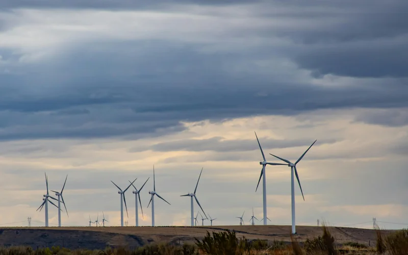 Egypt leads Middle East and North Africa in wind energy