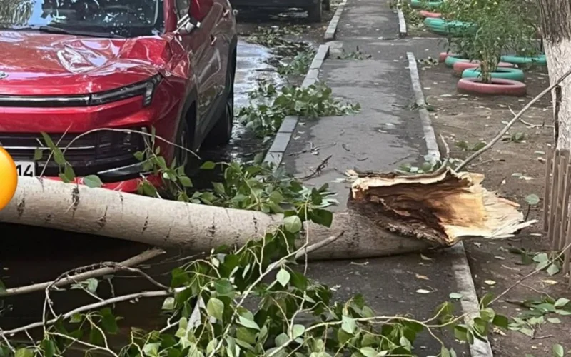 Отключения света, разрушения и пострадавшие: последствия урагана в Павлодарской области