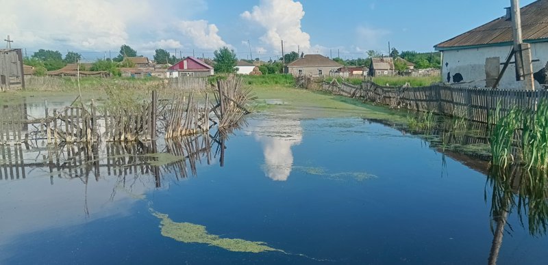 Зерендинское озеро превращается в болото в Акмолинской области Зерендинское озеро превращается в болото в Акмолинской области