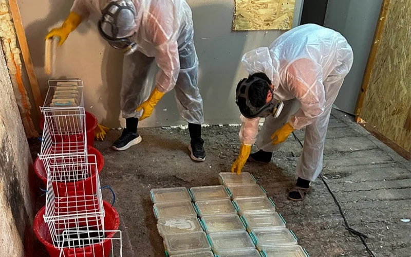 Esirtkige qarsy iri operatsııa: Tarazda jasyryn zerthana joıyldy