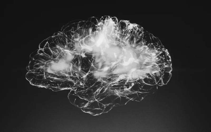 Aging brain