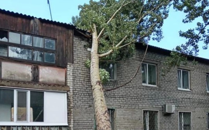 Отключения света, разрушения и пострадавшие: последствия урагана в Павлодарской области Отключения света, разрушения и пострадавшие: последствия урагана в Павлодарской области