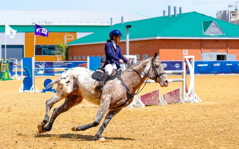 Определены победители Кубка РК по конкуру
