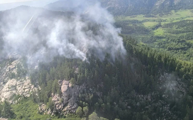 В ВКО потушили лесной пожар 