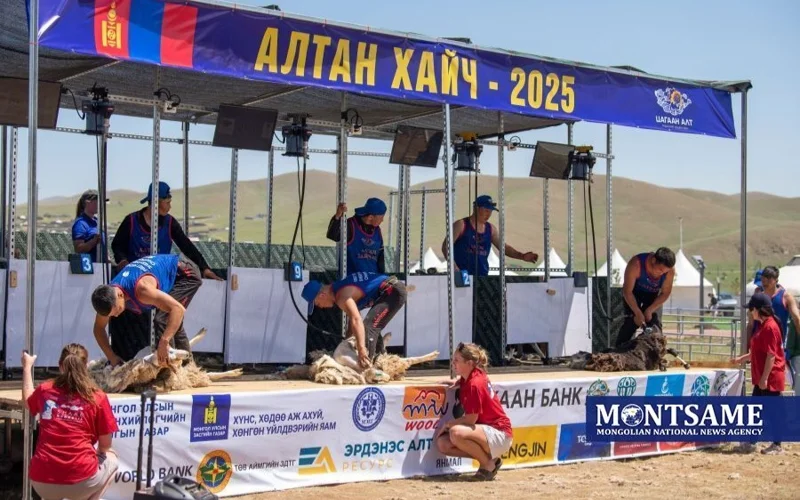 Моңғолияда қой қырқу бойынша ұлттық «Алтын қайшы — 2025» байқауы өтті